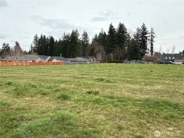 Middle of property looking West