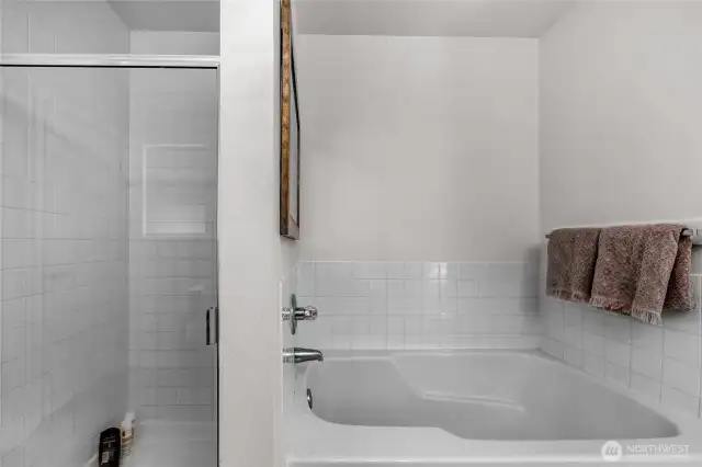 5 piece master bathroom