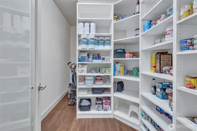 Incredible walk in pantry
