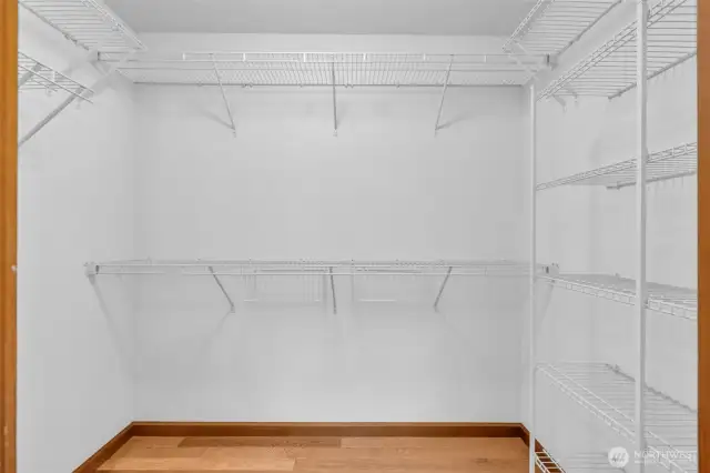 Primary bedroom has a great walk-in closet - fill it up