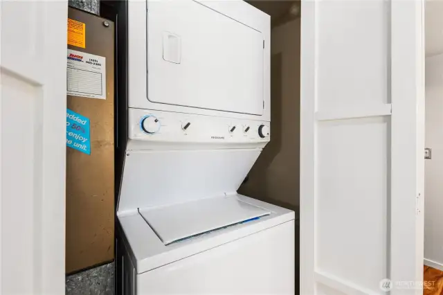 In unit laundry and furnace