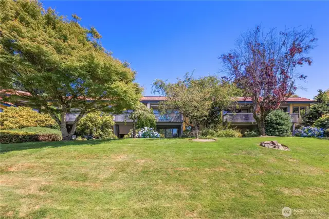 Large back yard fully maintained by the HOA