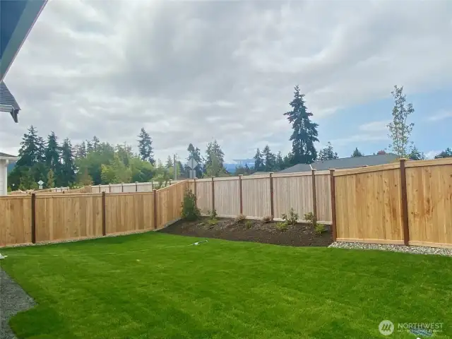 Homesite 8 Backyard