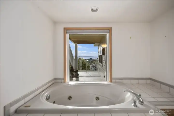 primary bedroom Jacuzzi tub with views and privacy window