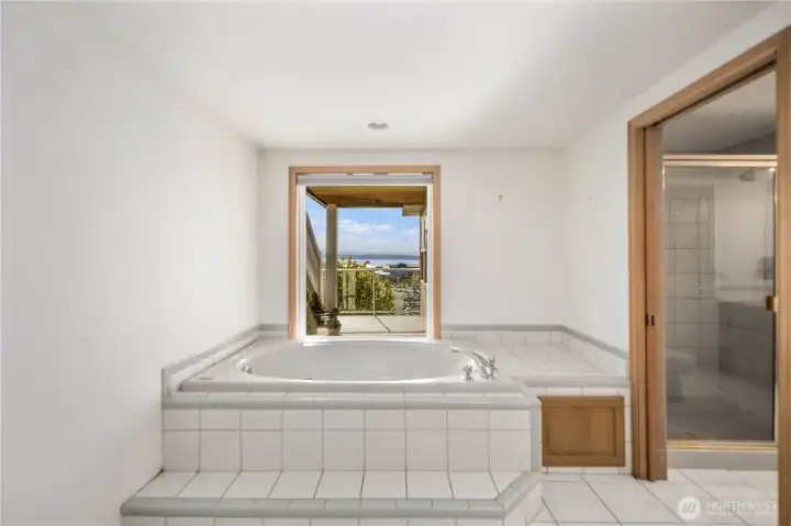 Primary Jacuzzi tub with views and privacy window