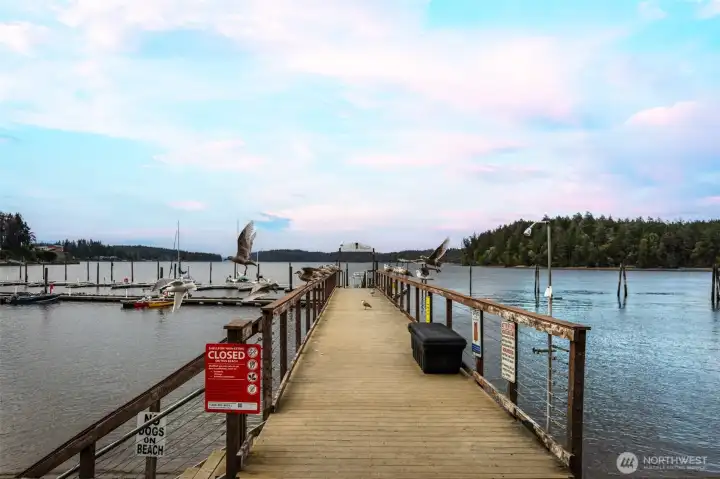 What will it be like to have access to a private marina? So many opportunities to get onto the water here!