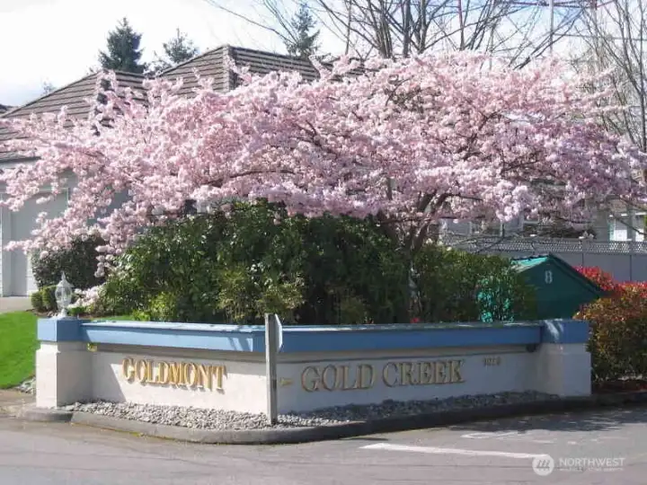 You'll never tire of the endless beauty that surrounds the entire community.  Keep your eyes peeled for the deer who wander throughout the condos.