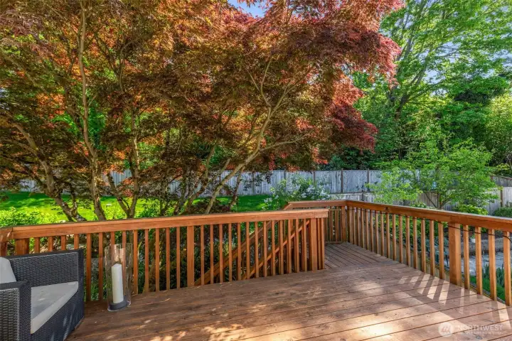 This yard is so beautifully landscaped and lush. The deck is just off the kitchen.