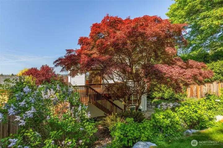 The landscaping here is so colorful year round.