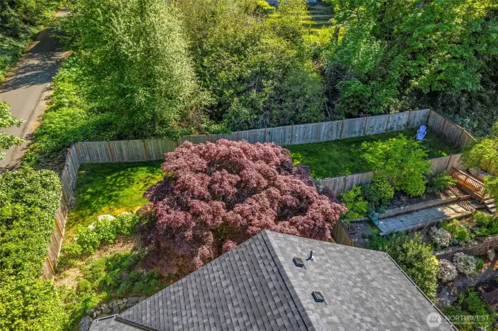 801 W. Barrett includes two additional parcels, and backs up to an expansive lush greenbelt- very private!