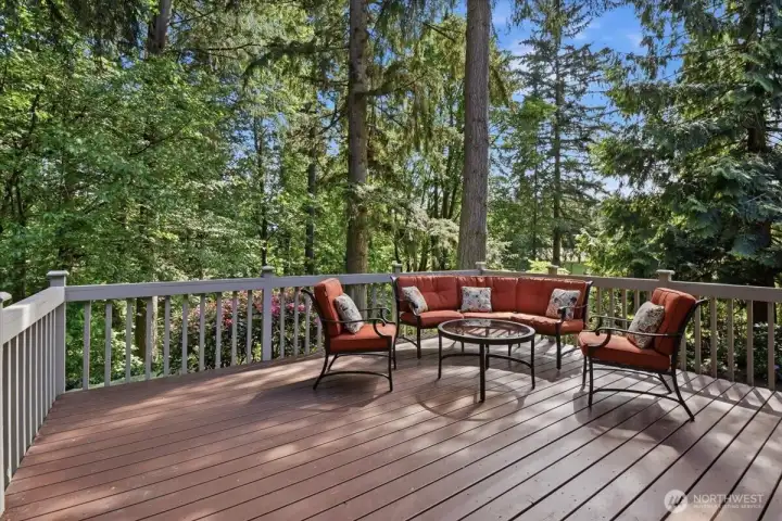 Expansive deck overlooks the lush green belt. Expansive deck overlooks the lush green belt.