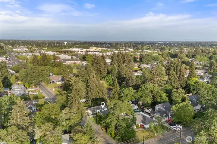 Or go up 100th ST SW, and visit the Lakewood Towne Center or hit I5