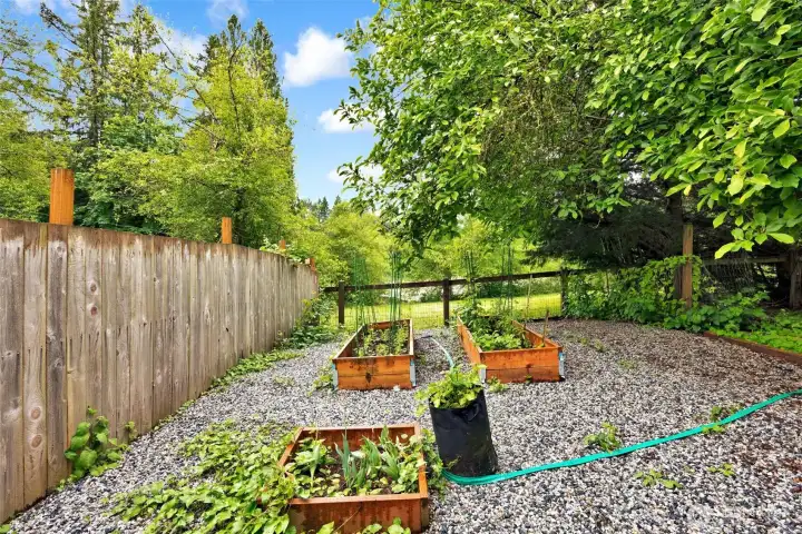 Garden space with garden boxes