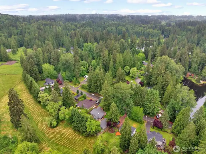Drone view of neighborhood