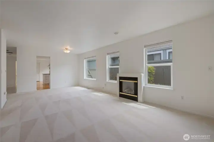 Gas fireplace to warm the winter days