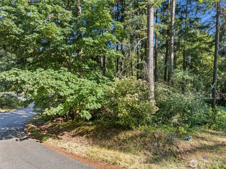 Welcome to this spectacular lot just shy of a quarter acre ready to build your dream home.