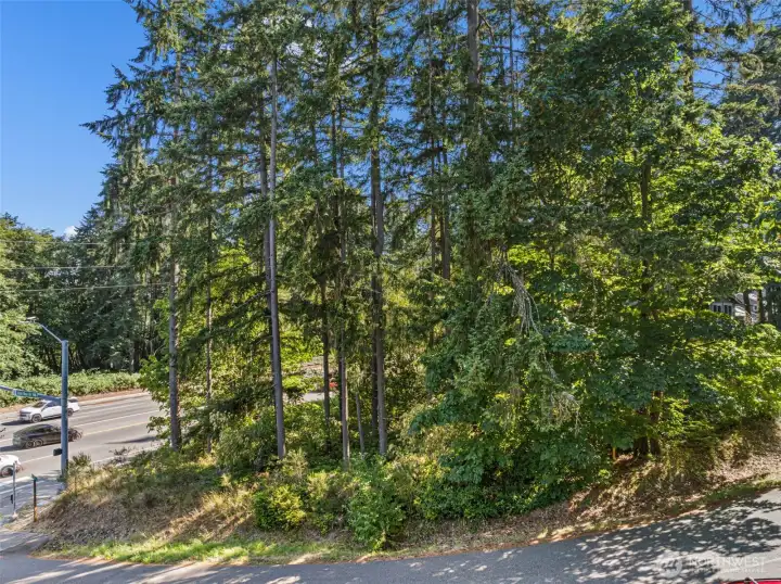 Located in the beautiful community of Artondale.