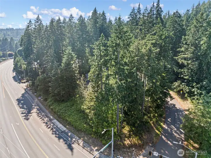 Nestled among mature trees.