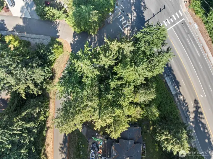 Corner Lot.