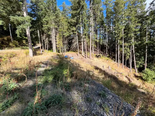 Property looking north, property line at tree line