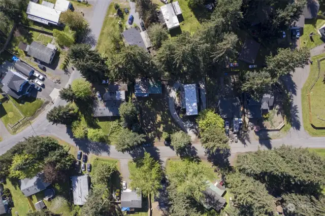 Neighborhood overhead shot.