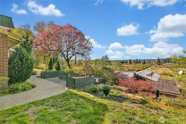 Garden space with raised beds