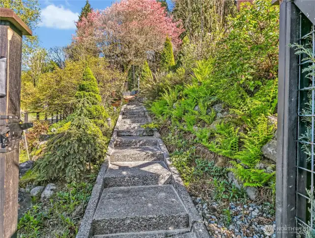 Lower gate and steps to front door