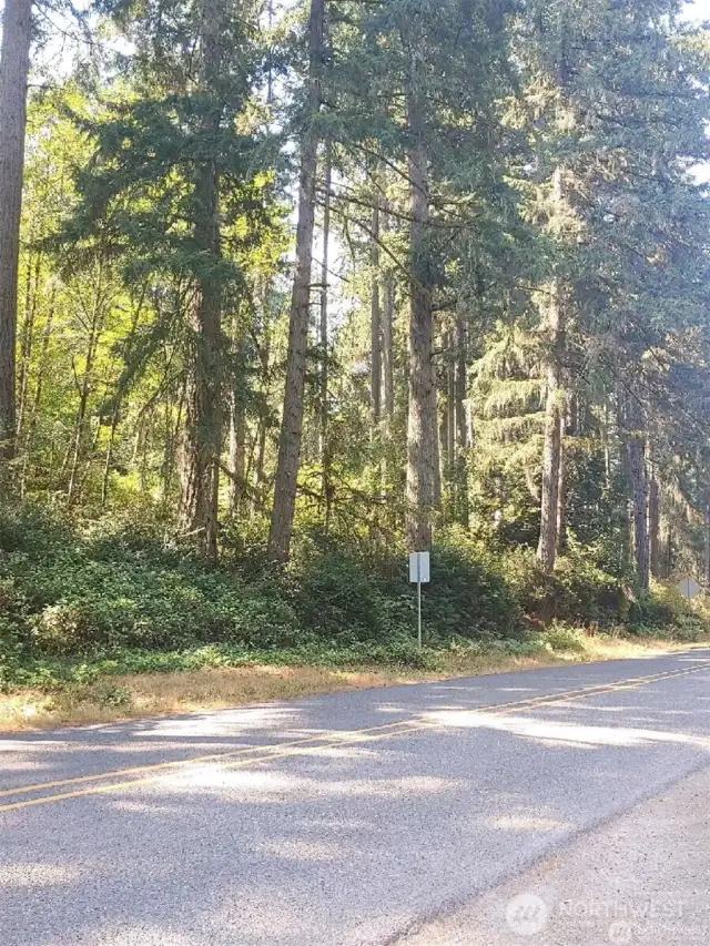 Looking west
