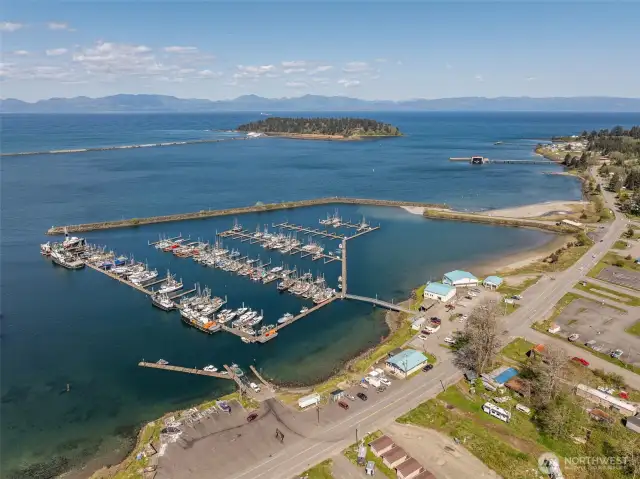 Local Neah Bay marina