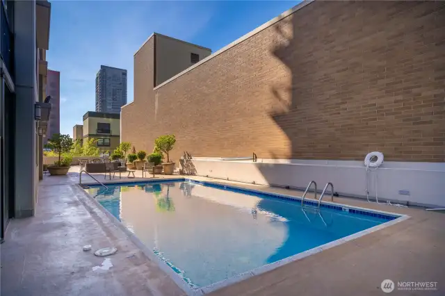Pool and Patio Space