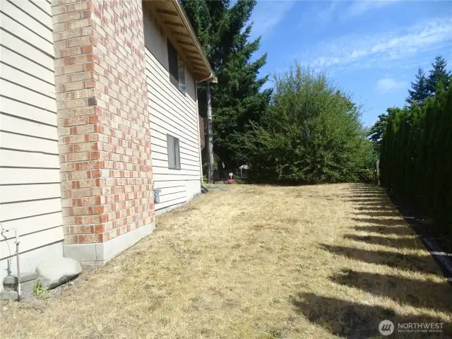 A view of the side yard.