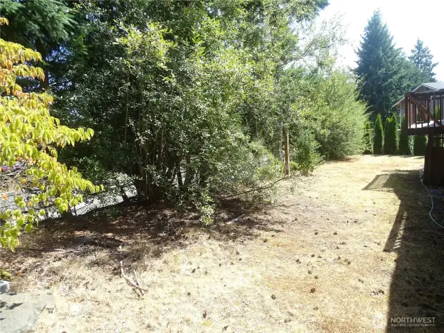Backyard.