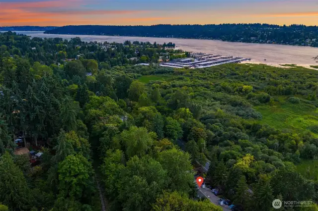 Explore nature without leaving the neighborhood—Mercer Slough’s serene trails and waterways are just moments away.