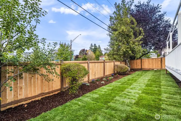 The yard is completely redone and ready for you to enjoy