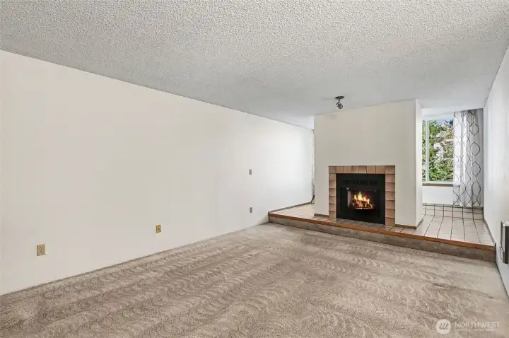 Living Rm + fireplace(wood)