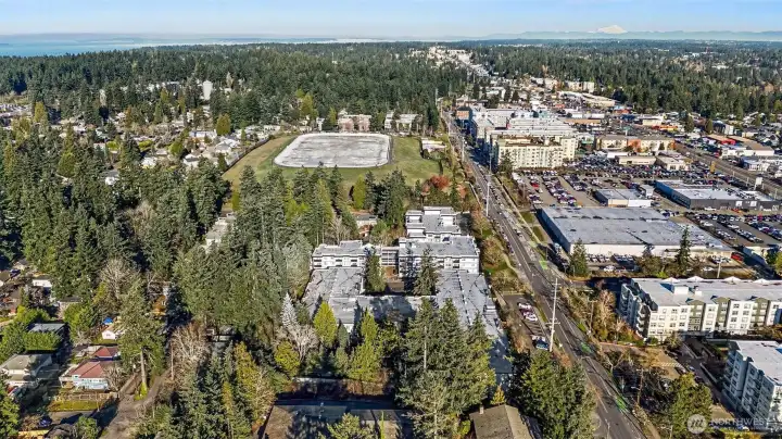 (N) View near Bitter Lake