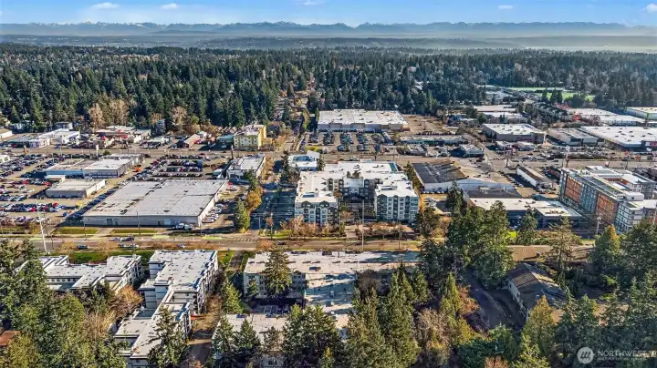 (E) View near Bitter Lake