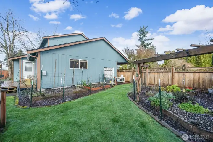 Multiple gardening beds and trellis, perfect for the avid gardener!