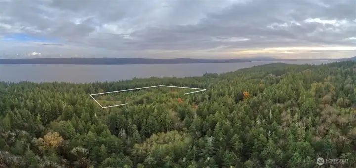 A view of the site facing East.