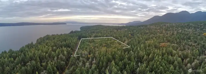 South facing view of the site.