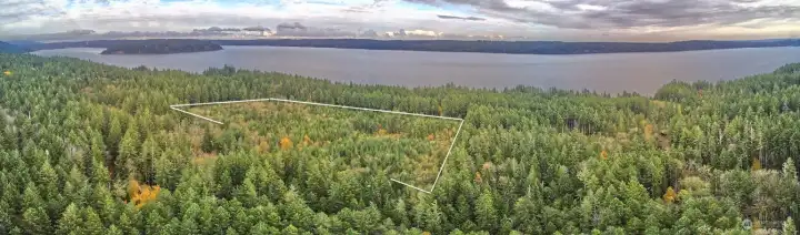 View of the site facing NE.