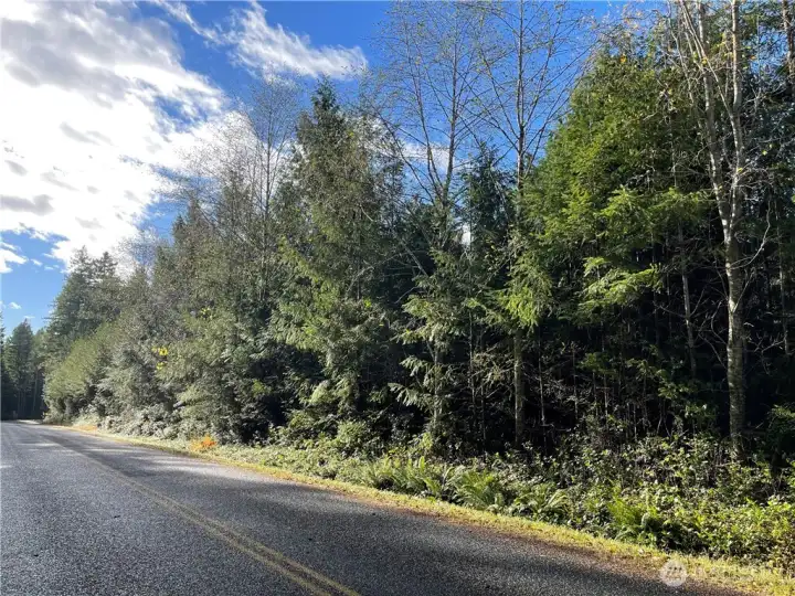 Open & sunny location.