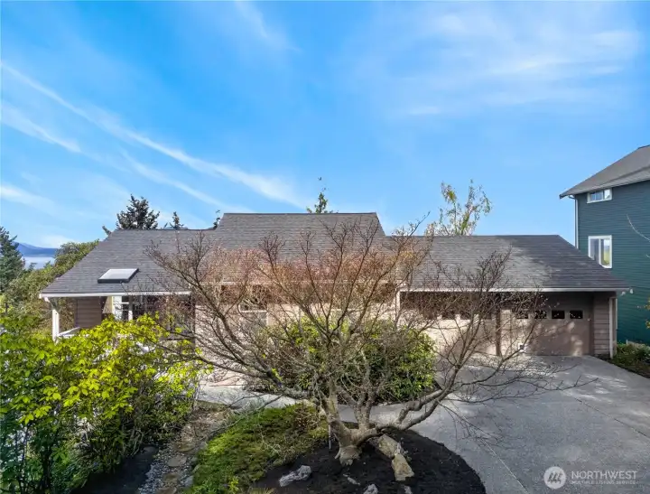 It's hard to get a good shot of the front of the house.  Beautiful tree