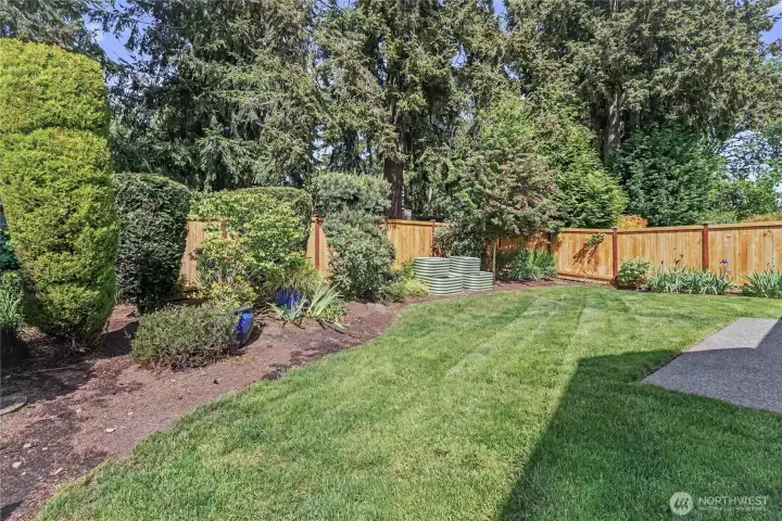 Very private backyard.