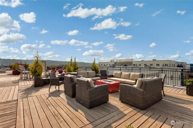 Rooftop deck with planting spaces so you can garden!