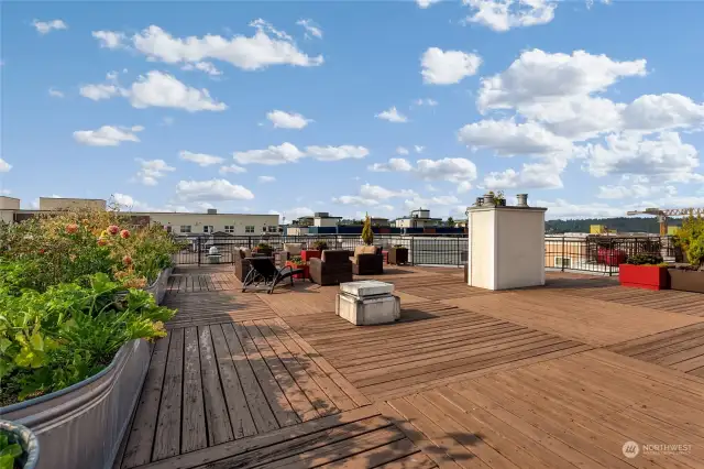 Rooftop deck with planting spaces so you can garden!