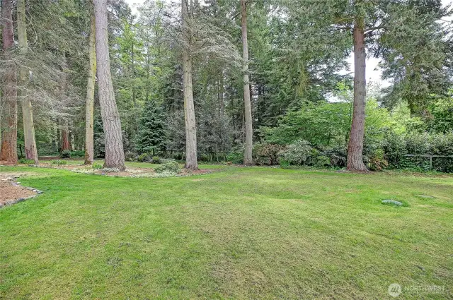 A Great Yard w/ Absolute Privacy~