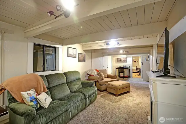 Lower Level Finished Bonus Room~