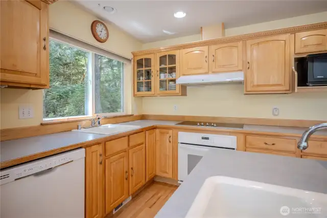 kitchen nice view of the deer that come visit