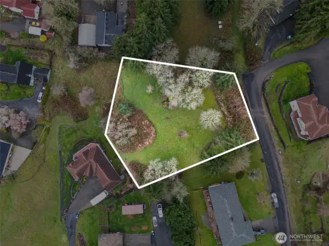Why, yes, it does look like Home Plate-- where else would you want to put your Dream Home?